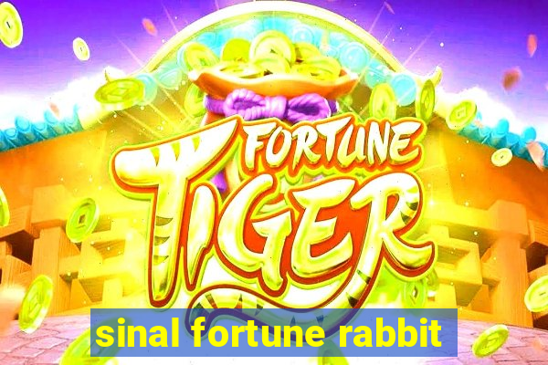 sinal fortune rabbit